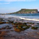 제주를 그리다 이미지