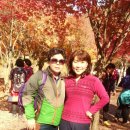 해오름2농장 이미지