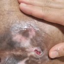 강서스마일재가센터 이미지