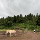 희주목장 이미지