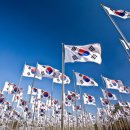 한국동포 외국인 행정사사무소 이미지