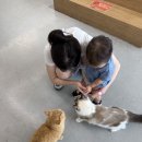 방앤피그 | 수원 아이랑 가볼만한 곳｜수원 동물원 수달앤쥬 14개월 아기와 다녀온 후기