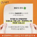 플라톤의 여행 이미지