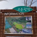 상림고운광장 이미지