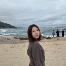 다모여 | 제너럴아이디어 ,애드모어 가디건 후기 스트레이트체형 다 모여!!