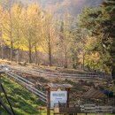 햇살목장 이미지