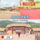 대가야농촌문화체험특구 캠핑장 | 고령 아이랑 가볼만한곳 대가야생활촌 핑크모래 어린이과학관