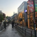 대일관광여행사 | 일본 도쿄 항공권 특가 예약 안내 나리타 하네다 비교 아시아나 OZ102 후기