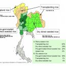 태국쌀-태국 쌀 재배 방식에 따른 지역분류 이미지