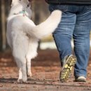 경기동물병원 이미지