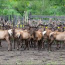 경희오행복한의원 이미지