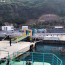 가배항2 이미지