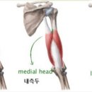 마일스톤필라테스PT스튜디오