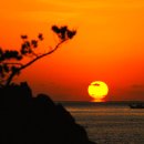 날마다좋은날 이미지