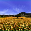 낙동야구장 2 이미지