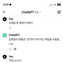 chat gpt 교육시키기... 이미지