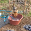 표선가시리민박 이미지