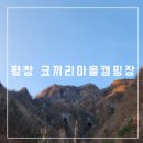 코끼리캠핑장 | 평창 미탄면 별이 잘보이는 코끼리캠핑장 솔직후기