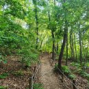 우장산공원길 이미지