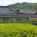 장안제일약국 이미지