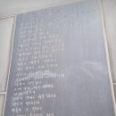 일천구백십구