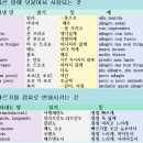 I-2 Daum카페