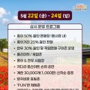 석교둔치공원 | 나주 영산포 홍어·한우 축제 미리 다녀왔어요! 꽃양귀비 개화 상황 실시간 후기