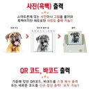 렉카마트 | [1201~1231] 2025년을 떠나보낸다는 핑계로 계속 먹는 일상