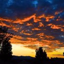 무지개PC 이미지