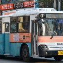 강서구-20 이미지