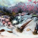 대륙붕 | 4억 년 전, 생물 1차 대멸종 오르도비스기 실루리아기