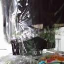 목련세탁소 이미지