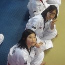 대건태권도 이미지