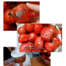 제2장애인복지관 이미지