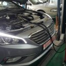 포유모터스 이미지