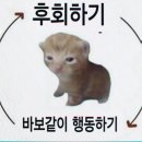 [The가꿈 10기] 면접 및 최종 합격 후기✨