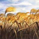 A-MAX(에이맥스) 이미지