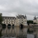 메디시스 이미지