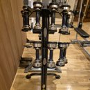 (판매완료)HAMPTON Ultra Bell Premium Dumbell pack 판매합니다. 이미지