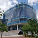 선거 농로 이미지