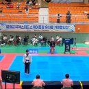 용인대 한빛 태권도장 이미지