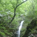 화암사 가는길 이미지