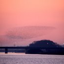 군무 2022-1 이미지