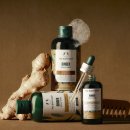 지성세탁 | 환절기 탈모에는 지성 두피샴푸로 케어 | 바디샵 진저 샴푸 6통 쟁인 후기