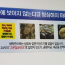 코인워시24 빨래터 이미지