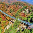 섬강자전거길(섬강살리기) | 강원도 코스모스 명소 - 원주 섬강 코스모스