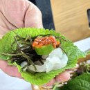 １１번회센타