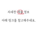 롱런하개 네이버블로그