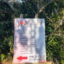 은향교회 | [충남 서천]서천 토박이의 추천 동백꽃이 예쁜 ‘아리랜드’ 후기