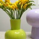 피네농장 이미지